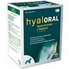 HYALORAL RAZAS GRANDES 12