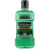 Listerine Teeth & Gum Def