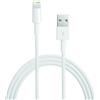 Apple Cable conector Ligh