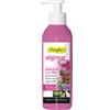 Gel Plantas Con Flor Algi